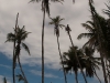 Bocas del Toro 028