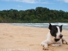 Bocas del Toro 082