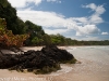 Bocas del Toro 105
