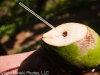 Bocas del Toro 171