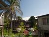 Bocas del Toro 177
