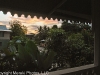 Bocas del Toro 532