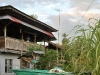 Bocas del Toro 534