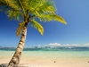 Bocas del Toro