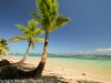 Bocas del Toro 626