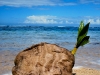 Bocas del Toro 688