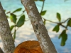 Bocas del Toro 708
