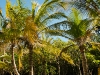 Bocas del Toro 720