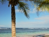 Bocas del Toro 726