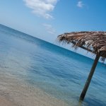 Roatan 0887