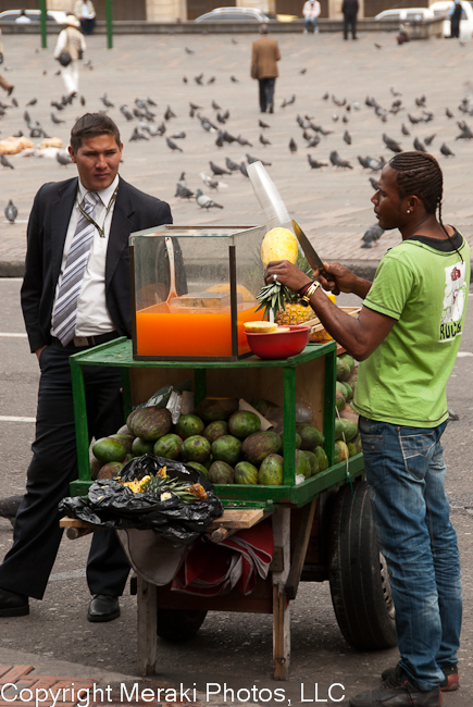 Bogota 330