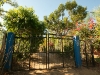 El Bosque Imposible 206
