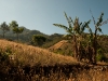 El Bosque Imposible 213
