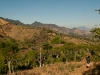 El Bosque Imposible 215