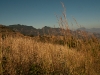 El Bosque Imposible 221