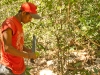 El Bosque Imposible 246