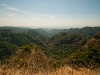 El Bosque Imposible 250