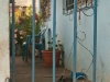 Juayua 089