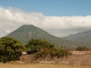 Juayua 130