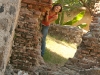 Antigua 236