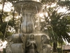 Antigua 484