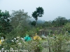 Antigua Fuego Trek 001