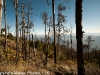Antigua Fuego Trek 216