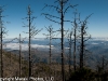 Antigua Fuego Trek 217
