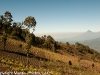 Antigua Fuego Trek 222