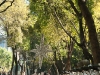 Mexico City 058