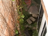 Puerto Vallarta 038