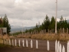 Cotopaxi 23