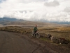 Cotopaxi 93