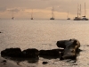 Roatan 0943