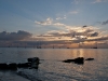 Roatan 0954