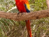 Utila 0820
