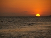 Utila 324