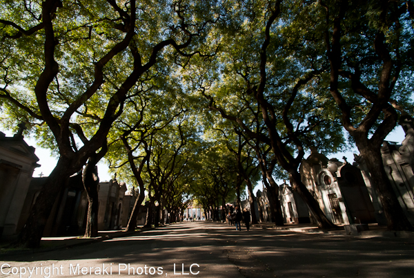 Photo of tree-lined path in Chacarita