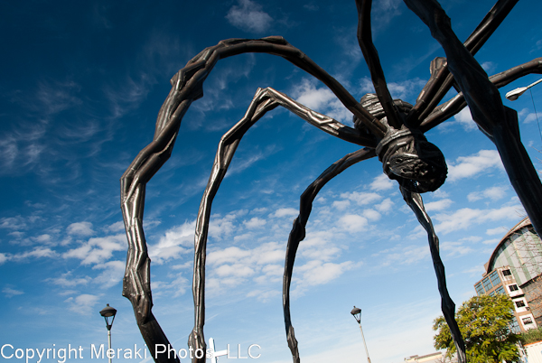 Photo of spider sculpture outside