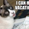 TravelScout-Vacation