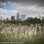 DSC_0457 web