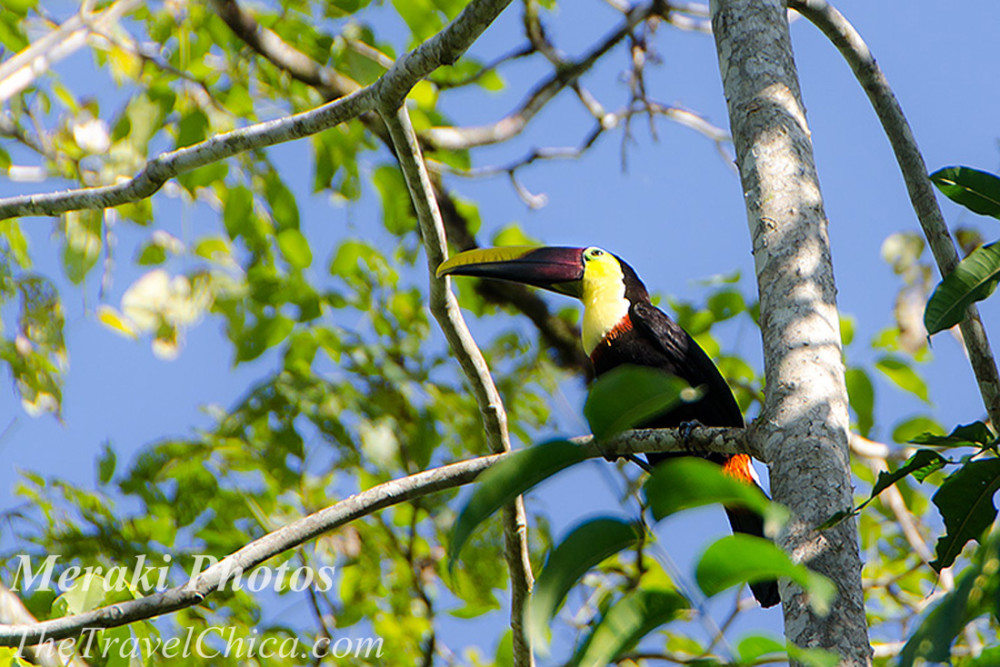 Costa Rica 2015 0596