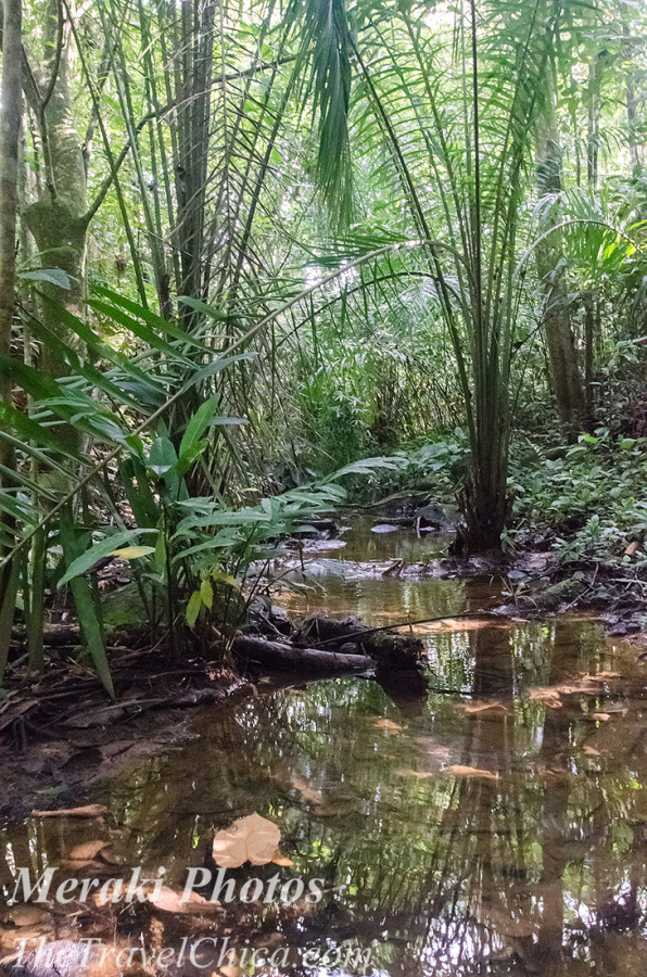 Costa Rica 2015 0877