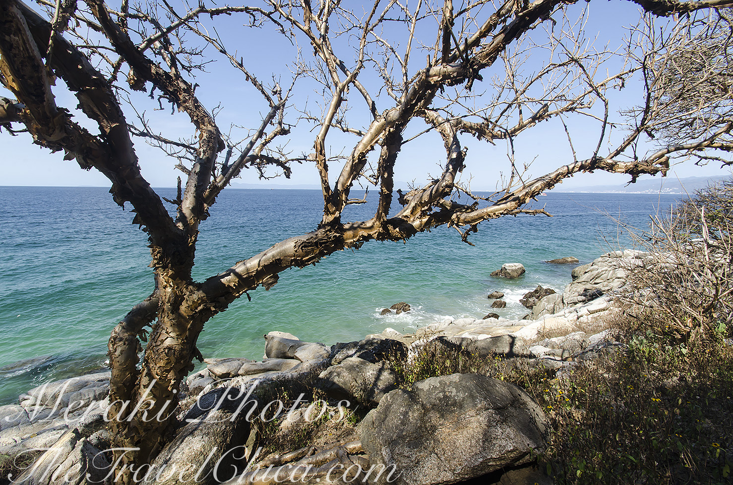 Puerto Vallarta 2018 273