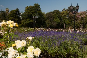 Buenos Aires 201104 18