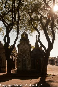 Photo of mausoleum between the trees