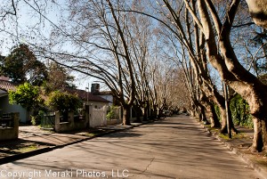 Photo of street in Adrogue