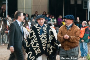 Photo of the horse show