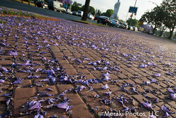 Foto of the Week from … Buenos Aires