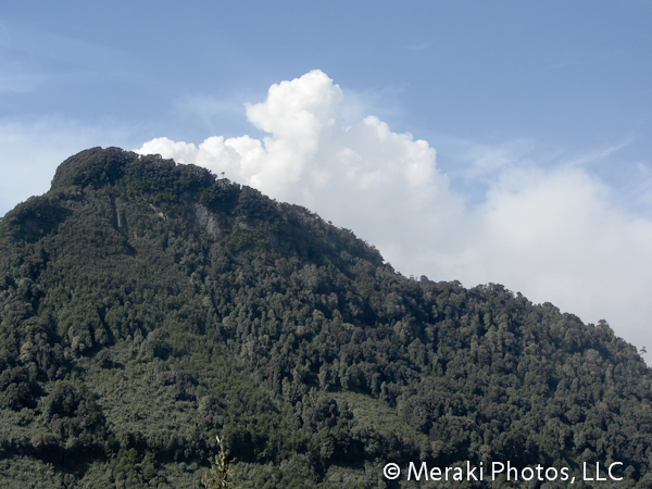 The Source of the Ashes in Photos